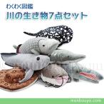 10%OFF 水族館 ぬいぐるみ 淡水魚 川の生き物 A-SHOW 栄商 わくわく図鑑 7点セット
