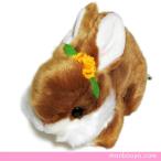 Yahoo! Yahoo!ショッピング(ヤフー ショッピング)ぬいぐるみ うさぎ キュート販売 CUTE かわいい 動物 ぬいぐるみ ウサギ ブラウン 20cm　まんぼう屋ドットコム