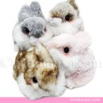 Yahoo! Yahoo!ショッピング(ヤフー ショッピング)うさぎ ぬいぐるみ ウサギ キュート販売 CUTE ふわふわうさぎ S 這い 15cm