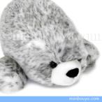 Yahoo! Yahoo!ショッピング(ヤフー ショッピング)アザラシのぬいぐるみ 海の生き物 キュート販売 CUTE ゴマフアザラシ M 35cm