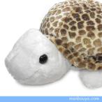 Yahoo! Yahoo!ショッピング(ヤフー ショッピング)カメ ぬいぐるみ キュート販売 CUTE marine collection 水族館グッズ アストラ亀 ブラウンLL 55cm