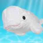 Yahoo! Yahoo!ショッピング(ヤフー ショッピング)白イルカ ぬいぐるみ キュート販売 CUTE marine collection 水族館グッズ アストラ ベルーガS 36cm