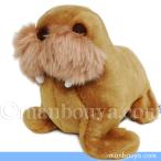 Yahoo! Yahoo!ショッピング(ヤフー ショッピング)セイウチ ぬいぐるみ 水族館グッズ キュート販売 CUTE 海象 20cm