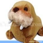 Yahoo! Yahoo!ショッピング(ヤフー ショッピング)セイウチ ぬいぐるみ 水族館グッズ キュート販売 CUTE 海象 M 30cm