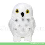 Yahoo! Yahoo!ショッピング(ヤフー ショッピング)ふくろう ぬいぐるみ 鳥 雑貨 キュート販売 CUTE シロフクロウ M 20cm　まんぼう屋ドットコム