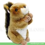 Yahoo! Yahoo!ショッピング(ヤフー ショッピング)リス ぬいぐるみ 動物 キュート販売 CUTE 日本リス S 17cm