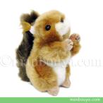 Yahoo! Yahoo!ショッピング(ヤフー ショッピング)リス ぬいぐるみ 動物 キュート販売 CUTE 日本リス SS 12cm