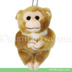 Yahoo! Yahoo!ショッピング(ヤフー ショッピング)動物園 ぬいぐるみ サル キュート販売 CUTE safari collection 猿 マスコット 10cm  まんぼう屋ドットコム