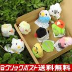 5%OFF 小鳥 インコ 雑貨 ぬいぐるみ セット A-SHOW ムニュマムお手玉 箱詰めセット 小鳥 9羽 メール便で送料無料