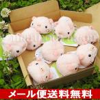 5%OFF 動物 ブタ ぬいぐるみ セット A-SHOW ムニュマムお手玉 箱詰めセット こぶたまんじゅう 9個 メール便送料無料