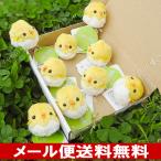 Yahoo! Yahoo!ショッピング(ヤフー ショッピング)5％OFF ひよこ ぬいぐるみ ヒヨコ セット A-SHOW ムニュマムお手玉 箱詰めセット ひよこ殻付き 9羽 メール便で送料無料