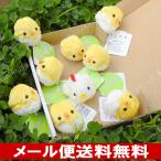 Yahoo! Yahoo!ショッピング(ヤフー ショッピング)5％OFF ニワトリ ひよこ ぬいぐるみ セット A-SHOW ムニュマムお手玉 箱詰めセット にわとり家族 9羽 メール便で送料無料