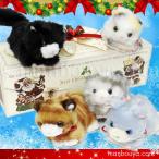 Yahoo! Yahoo!ショッピング(ヤフー ショッピング)たけのこ ネコ ぬいぐるみ 猫 クリスマスプレゼント 女の子 彼女 バンビーノキャット 5点セット A