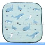 same кит товары носовой платок полотенце мята in Mintinn Mini марля полотенце Shark & ho e-ru15×15cm