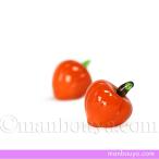 ho... стекло украшение O-Bon .. миниатюра растения ho oz ki orange 1 шт bib ro