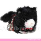 Yahoo! Yahoo!ショッピング(ヤフー ショッピング)猫 ぬいぐるみ ネコ たけのこ TAKENOKO バンビーノキャット キーチェーン 黒猫 9cm