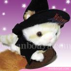 Yahoo! Yahoo!ショッピング(ヤフー ショッピング)ハロウィン 仮装 猫 ぬいぐるみ たけのこ TAKENOKO プチプチらんど ネコ ベージュ ハロウィン衣装