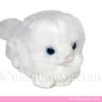 Yahoo! Yahoo!ショッピング(ヤフー ショッピング)猫 ぬいぐるみ ネコ たけのこ TAKENOKO JOYFUL MATES ジョイフルメイト プチプチらんど ペルシャネコ 11cm