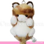 バッグチャーム 猫 ぬいぐるみ たけのこ TAKENOKO JOYFUL MATES ジョイフルメイト プチプチどりーむ キーチェーン ネコ 茶 10cm