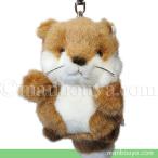 Yahoo! Yahoo!ショッピング(ヤフー ショッピング)キツネ ぬいぐるみ キーホルダー たけのこ TAKENOKO JOYFUL MATES ジョイフルメイト プチ森のなかま きつね 9cm