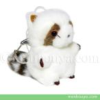 Yahoo! Yahoo!ショッピング(ヤフー ショッピング)レッサーパンダ ぬいぐるみ たけのこ TAKENOKO JOYFUL MATES ジョイフルメイト ぶるぶるマスコット ホワイト 8cm