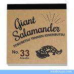  reference uo товары смешанные товары аквариум канцелярские товары блокнот для заметок world коммерческое предприятие aqua шик квадратное память oo reference uo почтовая доставка отправка возможно 