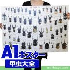 昆虫 グッズ アートポスター インテリア 雑貨 特大 A1サイズ 図鑑タイプ 実物大 甲虫大全 ポスター