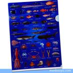 A4クリアファイル 深海魚 グッズ 図鑑タイプ ザ・アクセス 深海大全 クリアホルダー メール便発送可