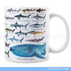 サメ グッズ マグカップ 大きい 陶磁器 白 水族館 お土産 ザ・アクセス 鮫大全