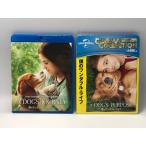 僕のワンダフルジャーニー　ワンダフルライ