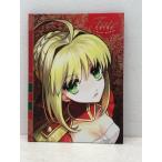 Fate/extra visualworks fate/thefact CD [E3448-008]024