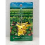  редкий * редкость * Пикачу .....chuu ремешок Pocket Monster Pokemon центральный fkoka ограничение нераспечатанный товар [P4697-008]110