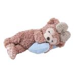 シェリーメイ ぬいぐるみ Duffy’s Sweet Dreams!2019 ダッフィー スウィート ドリームズ【東京ディズニーシー限定】