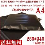 宅配ビニール袋 宅配ポリ袋 A4大きめ 黒 HDPE 硬め 【100枚入】 厚手 強力テープ付き 透けない クリップポスト ゆうパケット対応サイズ