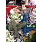 新品 / ライトノベル / はだれ恋〜拾われ男の妄想〜 (全1冊) 全巻セット