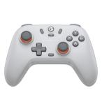 GameSir Nova Lite беспроводной &amp; проводной ge-ming управление мульти- платформа серый GameSir-NovaLite-GY