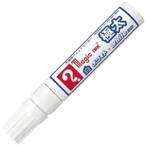 (まとめ)寺西化学工業 マジックホワイト