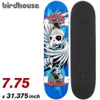  скейтборд Complete скейтборд BIRDHOUSE bird house TONY HAWK SPIRAL COMPLETE 7.75~ Tony Hawk 