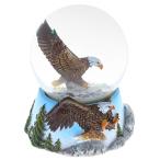 スノーグローブ 雪 置物 9943 CoTa Global Eagle Snow Globe - Sparkly Water Globe Figurine with Sparkli