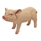 デザイン・トスカノ 置物 インテリア QM224191 Design Toscano Piggy Garden Statue Porker, Multico