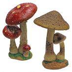 デザイン・トスカノ 置物 インテリア QM922302 Mushroom Garden Statue - Red &amp; Tan Mystic Forest M