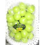 紅まどんな4個(3L)＆シャインマスカット1房(700g)