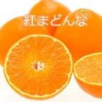 紅まどんな8個（３Ｌサイズ）