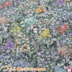 sa.. mother z сад sarara 511273si- подбородок g ткань (257) (50cm и больше 10cm единица измерения продается куском ) [ ограниченное количество ]