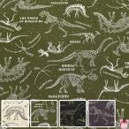  динозавр. окаменелость образец oks ткань HSK418 kana yas(50cm и больше 10cm единица измерения продается куском ) [ ограниченное количество ]