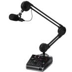 Miktek Mike Tec конденсатор * Mike +2CH миксер +USB интерфейс Pro CAST