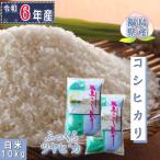 米 コシヒカリ 10kg(5kg×2袋)  福島県産 お米 5年産 送料無料 『令和5年福島県産コシヒカリ(白米5kg×2)』