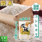 米 10kg コシヒカリ お米 6年産 茨城県産 送料無料『令和6年茨城県産コシヒカリ白米10kg』