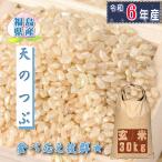 米 天のつぶ 30kg 玄米 福島県産 お米 3年産 送料無料 『令和3年福島県産天のつぶ玄米30kg』