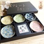 耀変華桜 お皿 揃い 5枚セット 美濃焼 小皿 5色セット おしゃれ きれい 日本製 箱入り ギフト 贈り物 プレゼント 来客用 取り皿 小皿 プレート 食器 さくら 桜